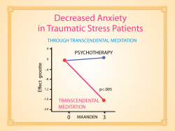 Transcendente Meditatie in vergelijking met Psychotherapie