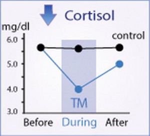 cortisol