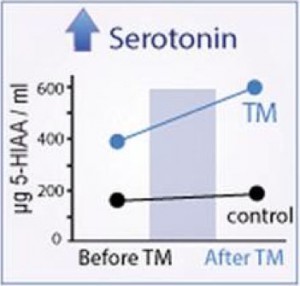 serotonin